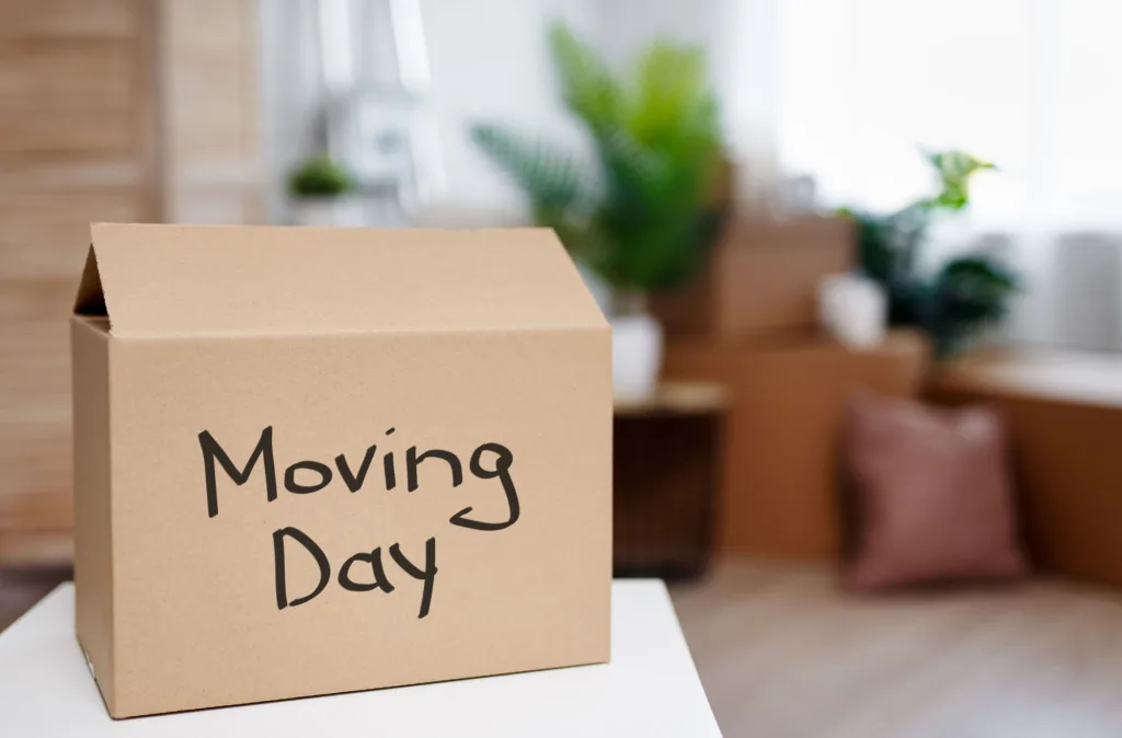 moving, Sustainable Relocation